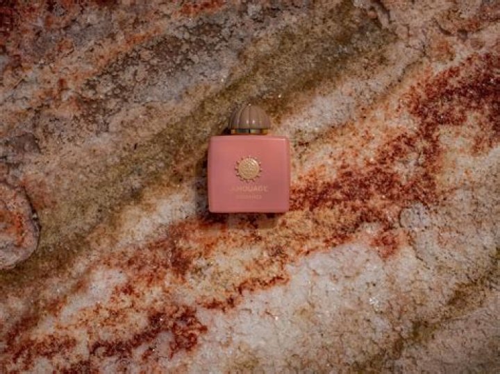 A Deep Dive Into "Mandy Rose Naked"