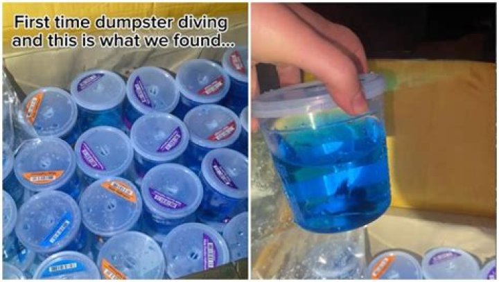 A Dumpster Diver Found Live Fish Inside a PetSmart Dumpster
