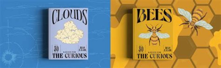 A Guide For The Curious