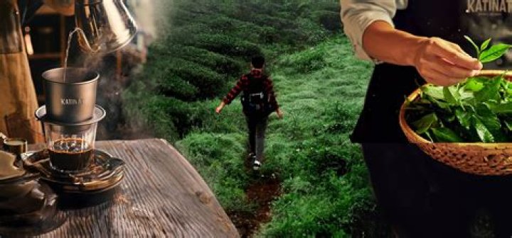 A Journey To Discover And Excel