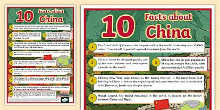 BlogPaper | 10 Facts To Know