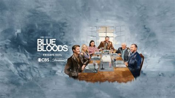 Blue Bloods Season 2 Episodes