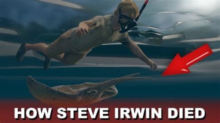 Here's What Happened To The Footage Of Steve Irwin's Death ·
