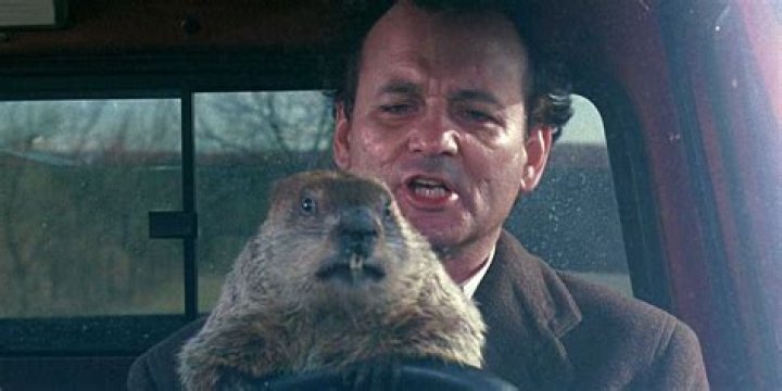 How Long Was Bill Murray Trapped in 'Groundhog Day'? It's Longer Than You Think