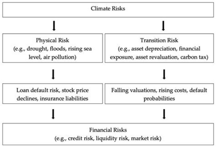 Kelley Cahill's Age And The Impact On Her Career