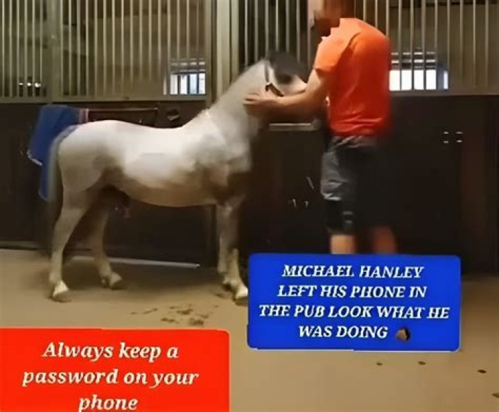 Michael Hanley Mr Hands Orange Shirt Man And Horse Video Viral