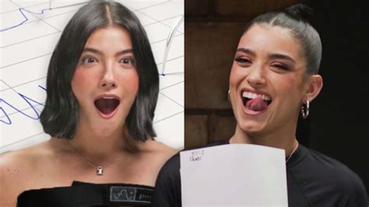 TikTok Star LILHUDDY Got Diss-Tracked for Allegedly Cheating on Charli D'Amelio