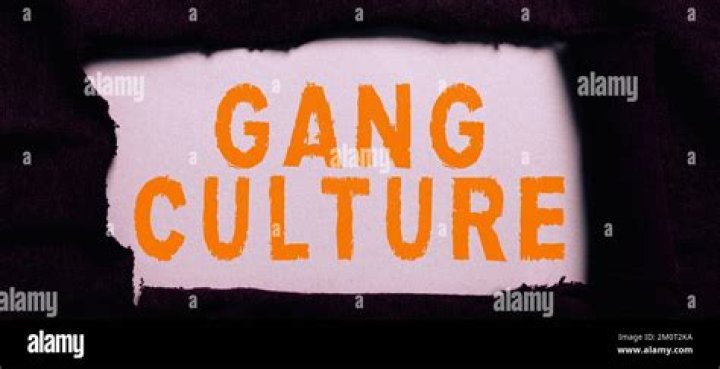 Uncover The Hidden Meaning Behind "Oy" In Gang Culture