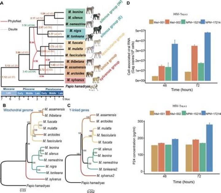 Uncovering The Enigmatic World Of Matthias Schoenaerts: Unseen Depths And Revelations