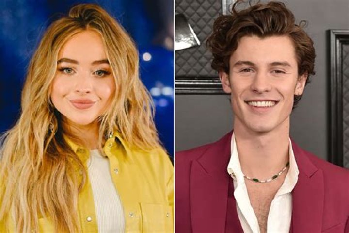 Who is Shawn Ellington Dating Now ·