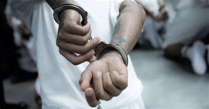 Yus Gz's Gang Affiliation Uncovered